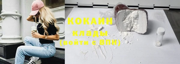 индика Алексеевка