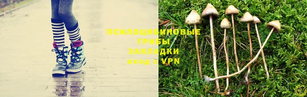 индика Алексеевка